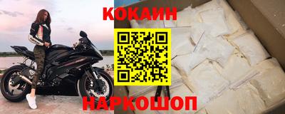 jwh Бийск