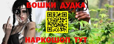 jwh Бийск