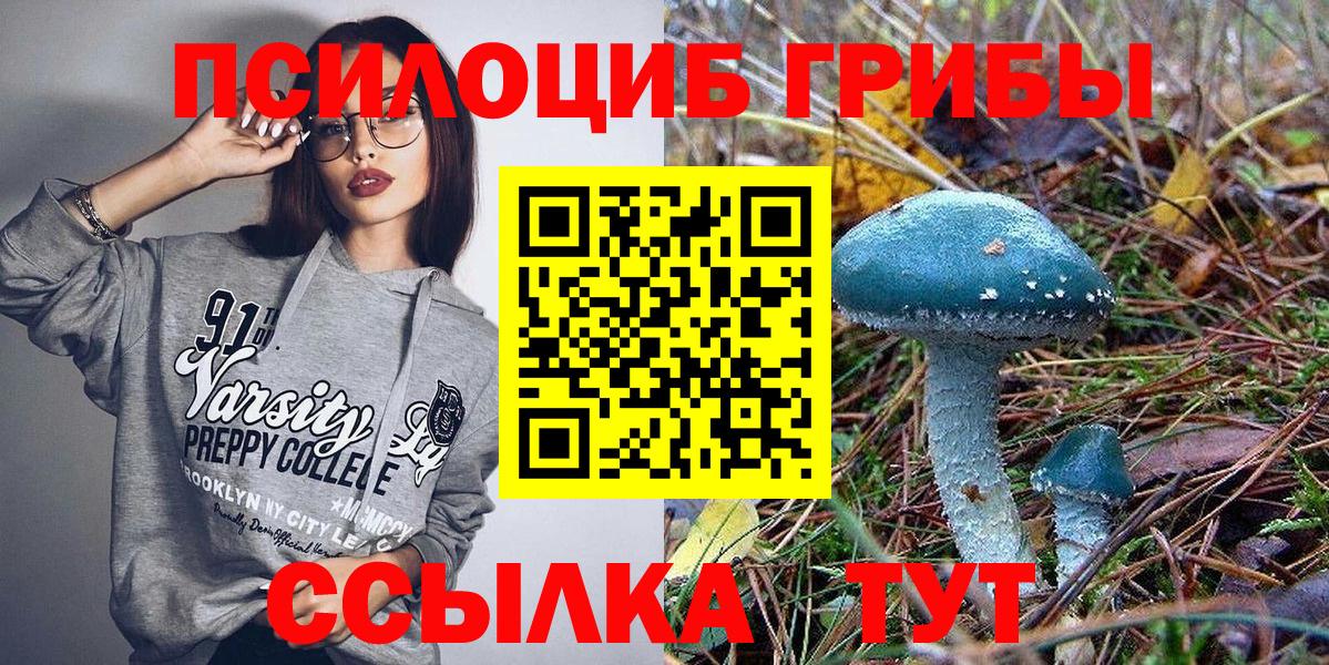 Галлюциногенные грибы мицелий Кириши