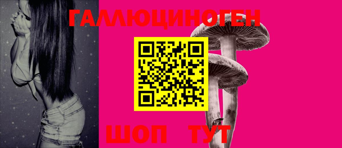 Галлюциногенные грибы Psilocybine cubensis  Вход с VPN  наркота  Кириши  Псилоцибиновые грибы мухоморы 